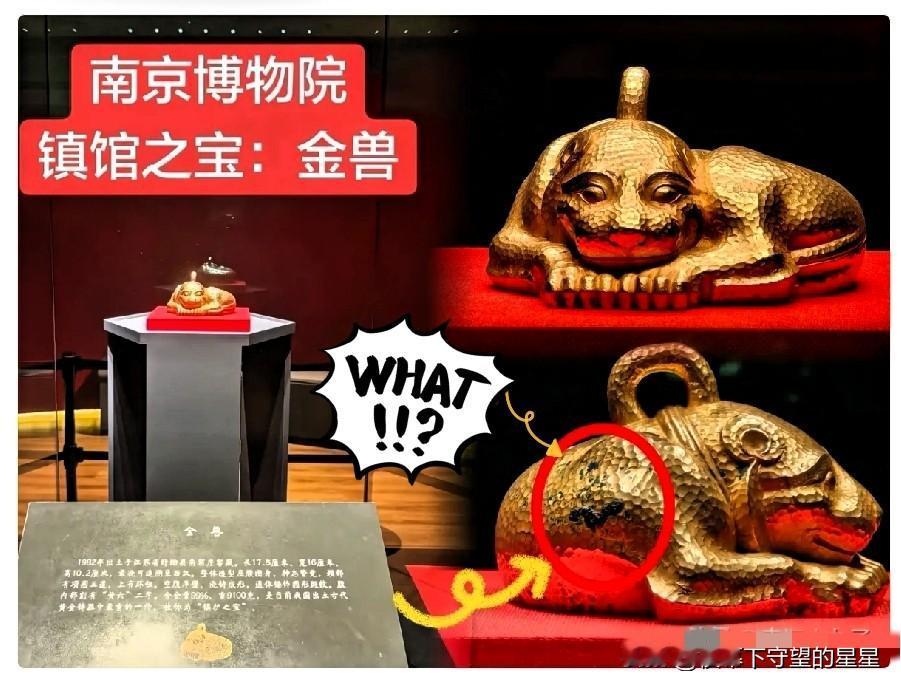 南京博物院这回算是把人丢大发了！那只镇馆的“金兽”，18斤重的纯金疙瘩，估值