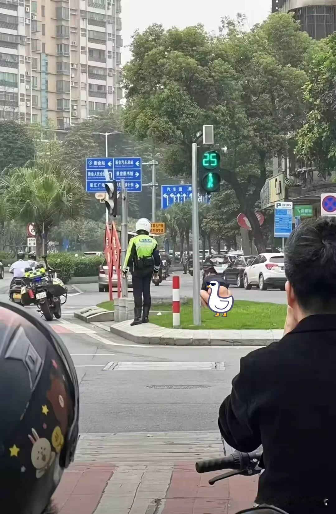 当街拉屎被交警抓住了!一名男子竟光着上半身，蹲在绿化带里当众排泄，旁边就是