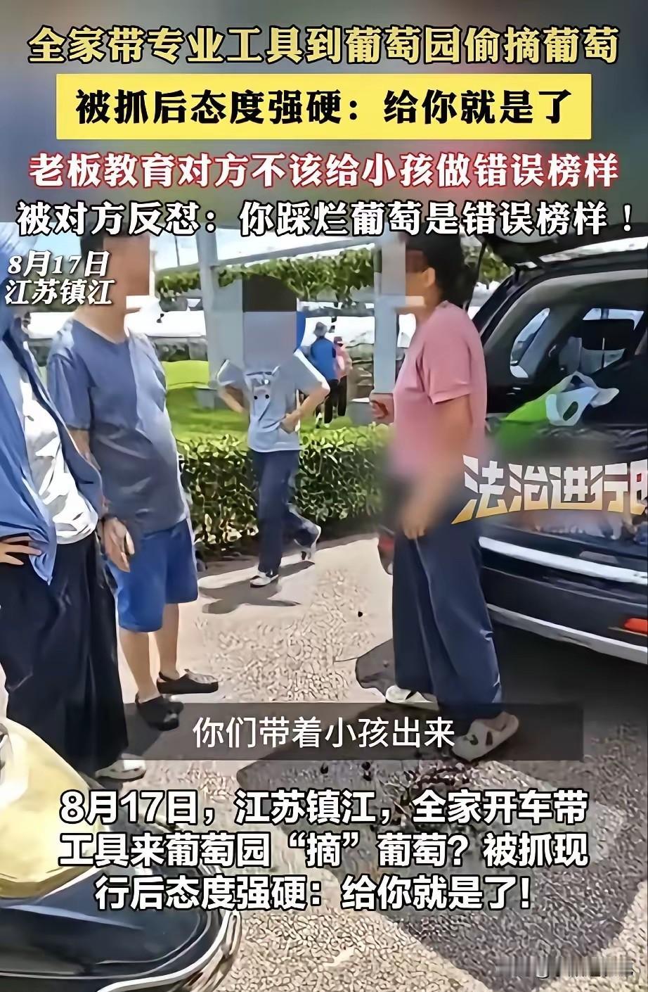 简直离谱！江苏镇江，一家人开车，还带着专业工具跑到葡萄园偷摘葡萄。被园老板当