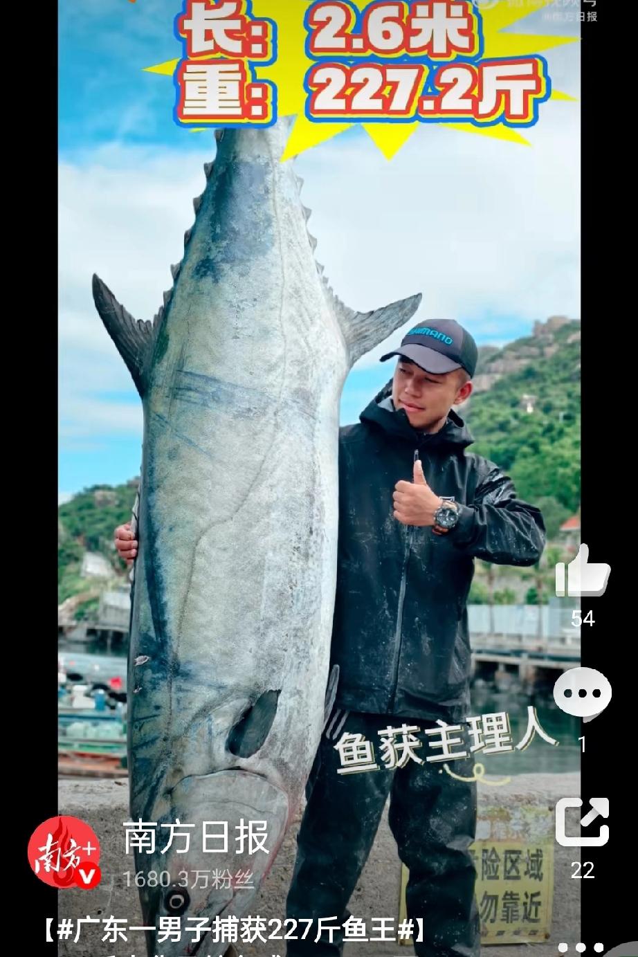 2.6米“海中巨无霸”现身珠海！227斤中华马鲛鱼成10年鱼王谁能想到，海