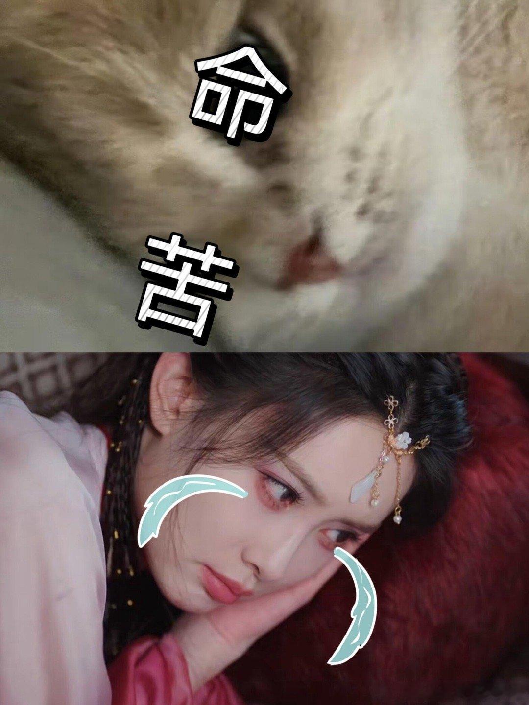 孟子义新剧当上加钱居士谁能拒绝青木媛这种人间清醒打工人！不委屈自己、不接白工，