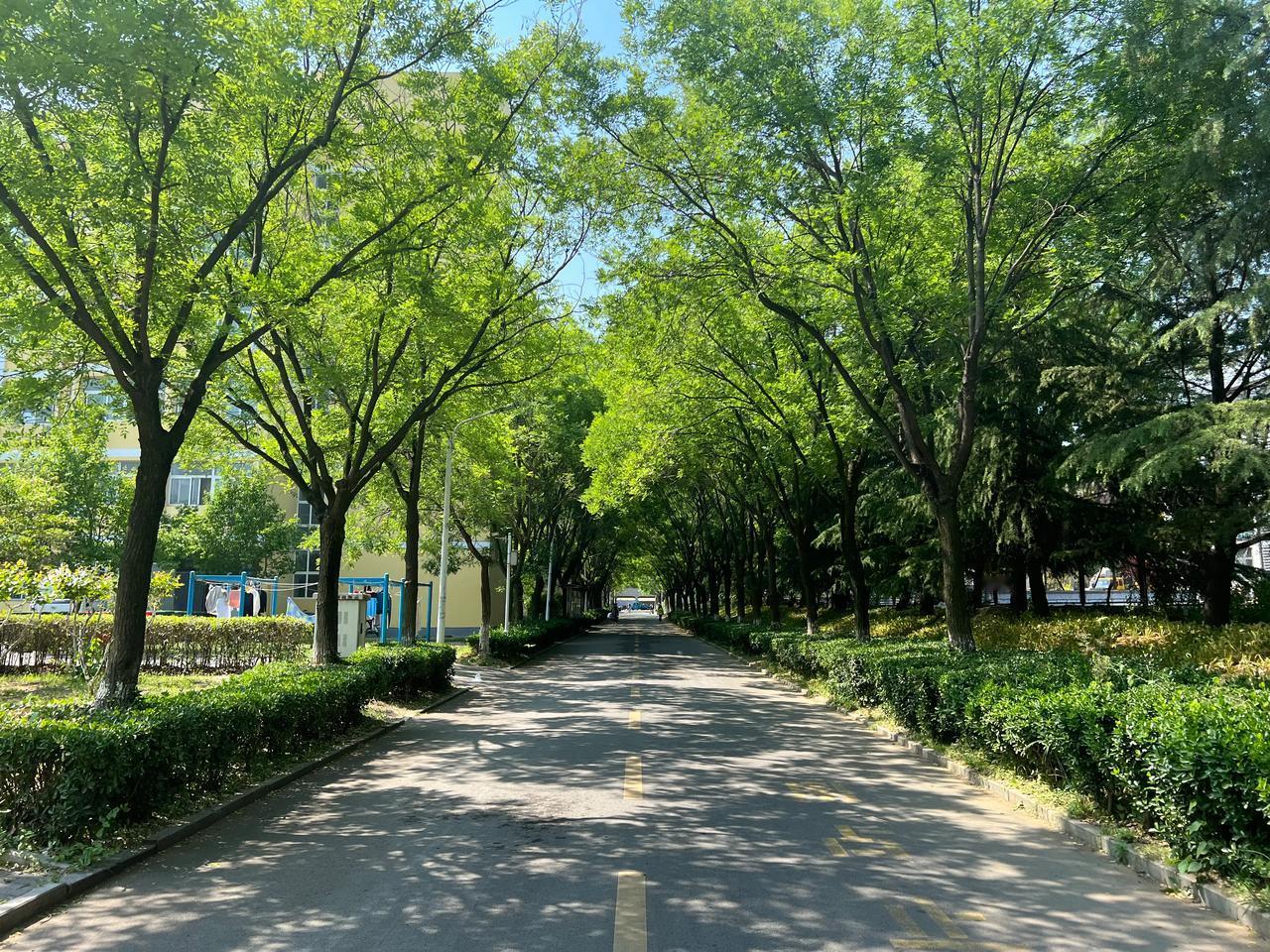 家庭条件好的孩子中考不理想，如何选择高中？昨天晚上，接到一个朋友的电话，他的孩