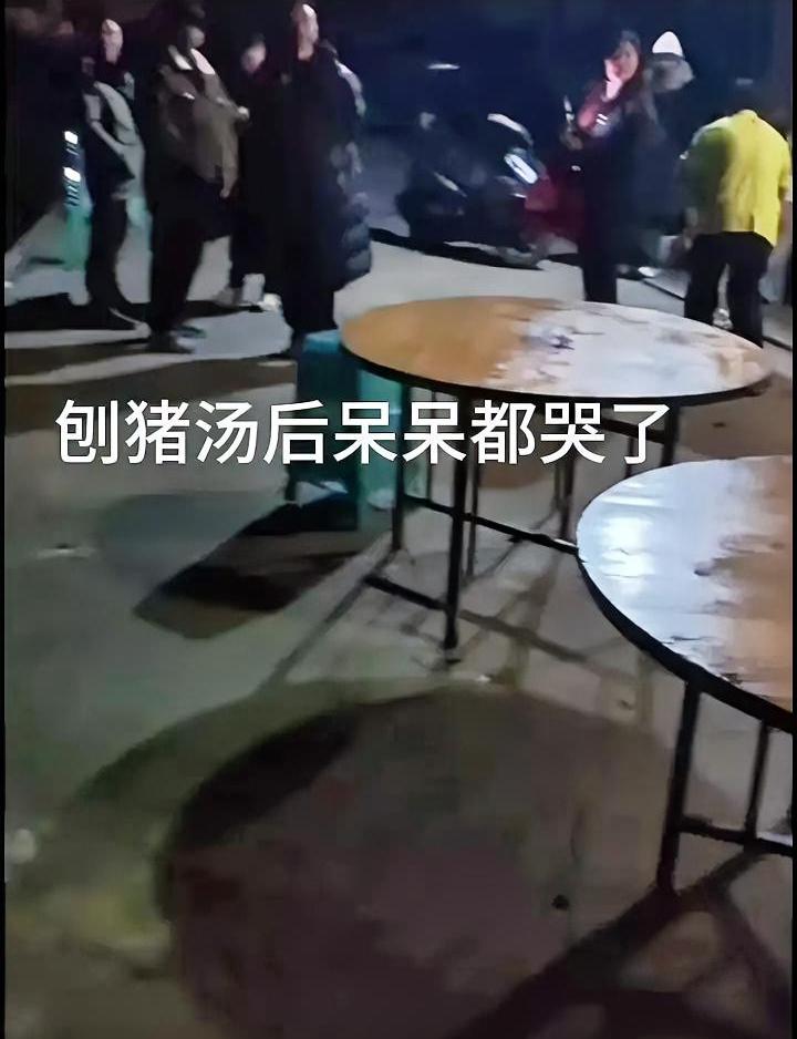 反噬来了，邀请网友来家杀猪的女博主呆呆哭了，不再欢迎客人，对着众人大喊大叫，终究