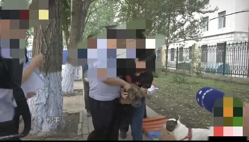 我看这视频也挺气愤，养狗爱好者，上大学院里遛狗，个别的不拴狗绳，还都是大型的禁养