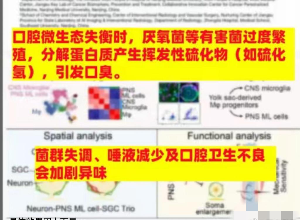 别再瞎猜！口腔科专家揭秘口臭真相与解决之道，是真靠谱还是另有隐情？你是不是