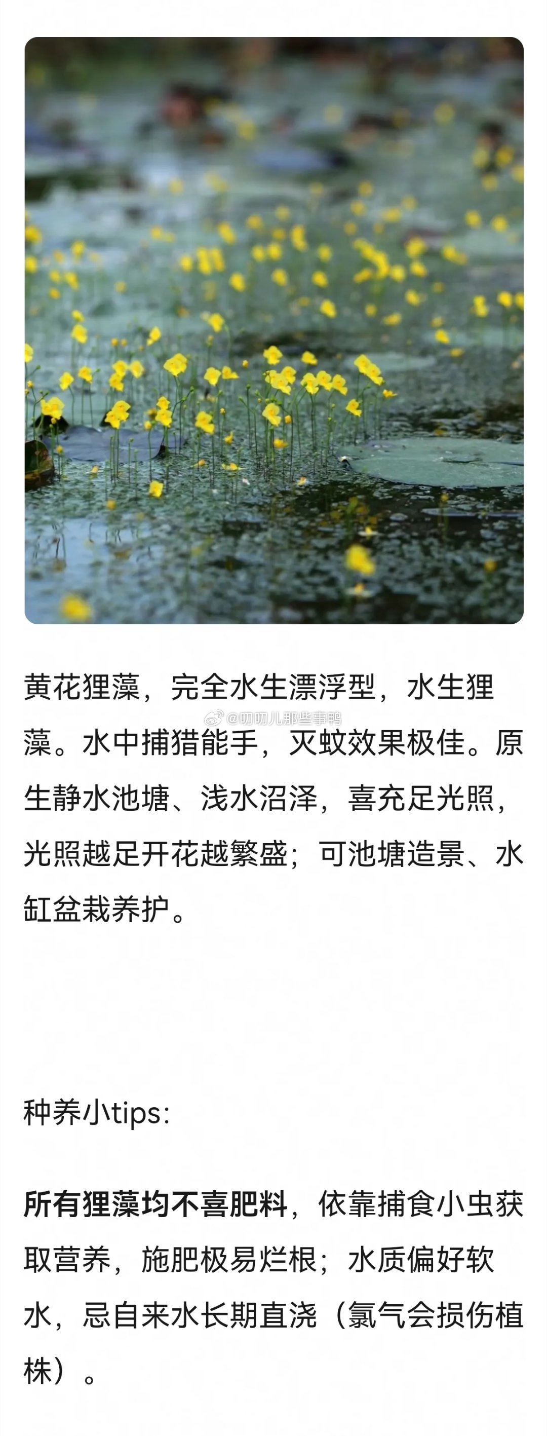 大自然真的好奇妙，这些植物都很萌～