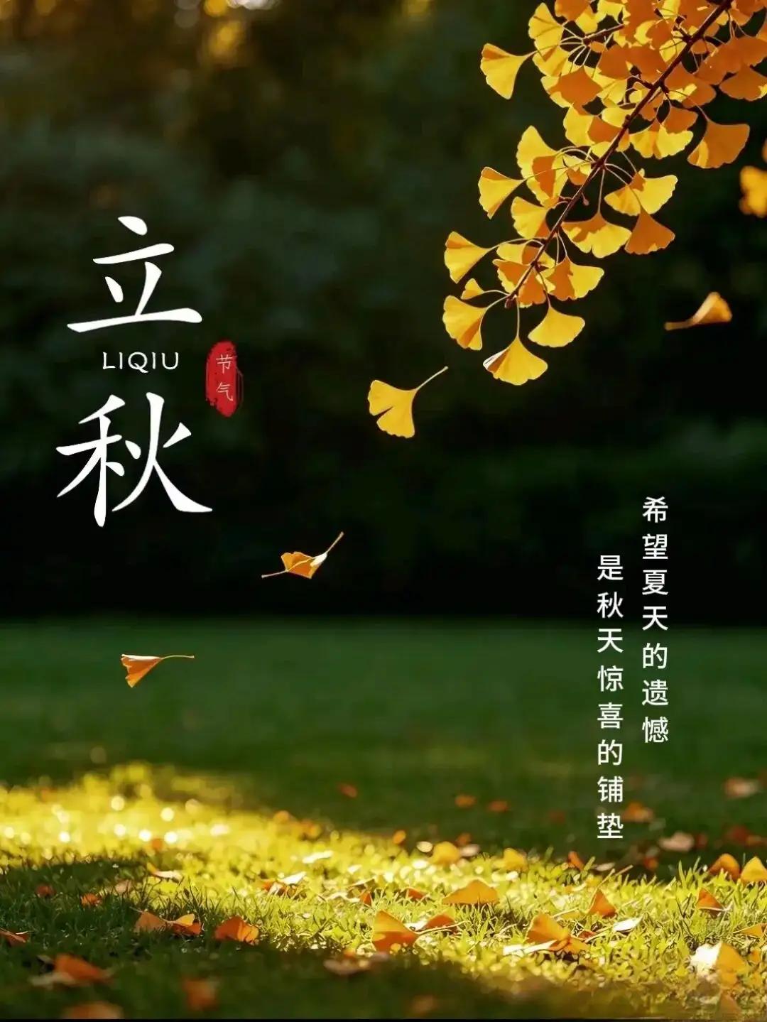 立秋一到，秋天就这么悄咪咪地来了。走在路上，不经意间就发现小路已经被落叶铺满，一