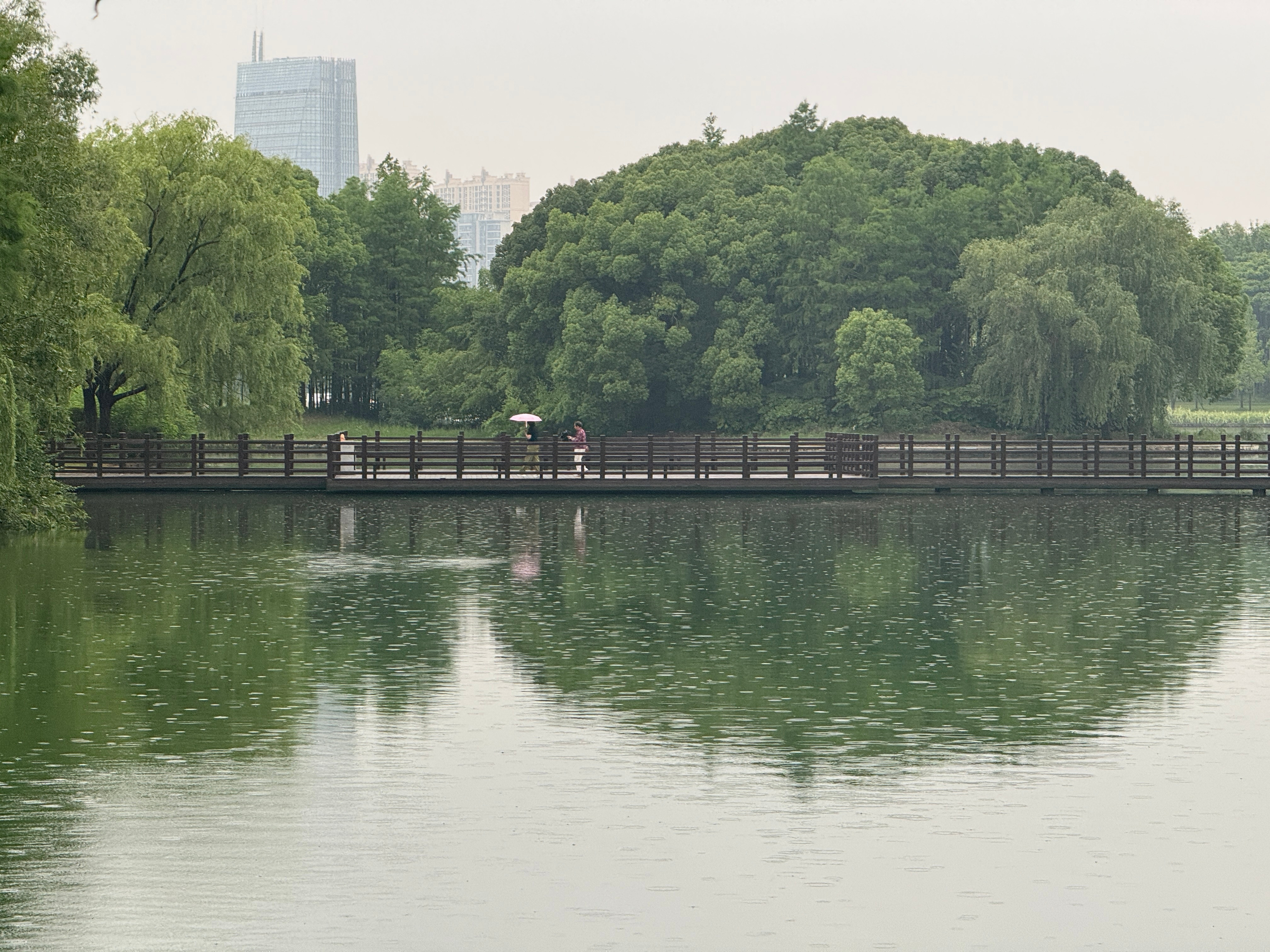 夏季雨中跑步，有点热又有点凉快！跑步打卡​​​