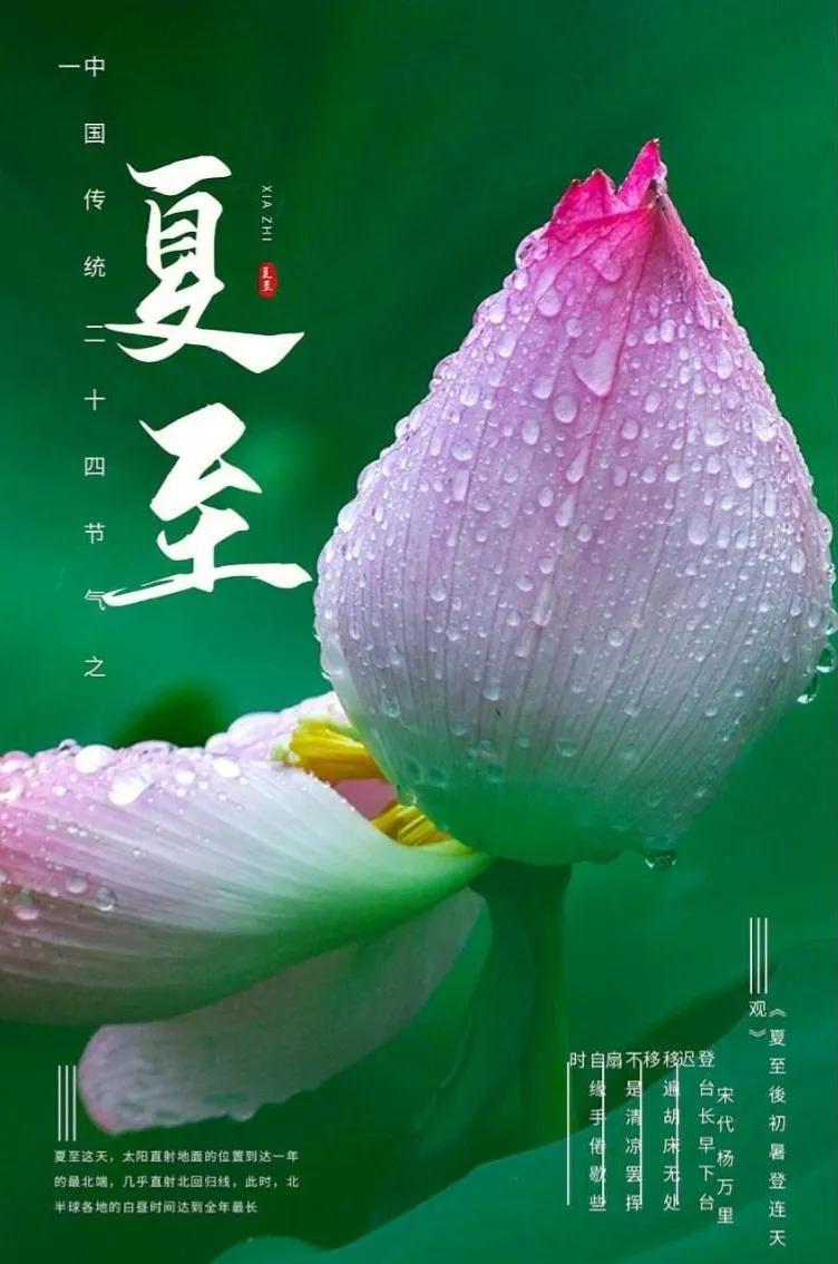 今日夏至！夏至的准确时间是：下午4点24分12秒。俗话说："上午夏至