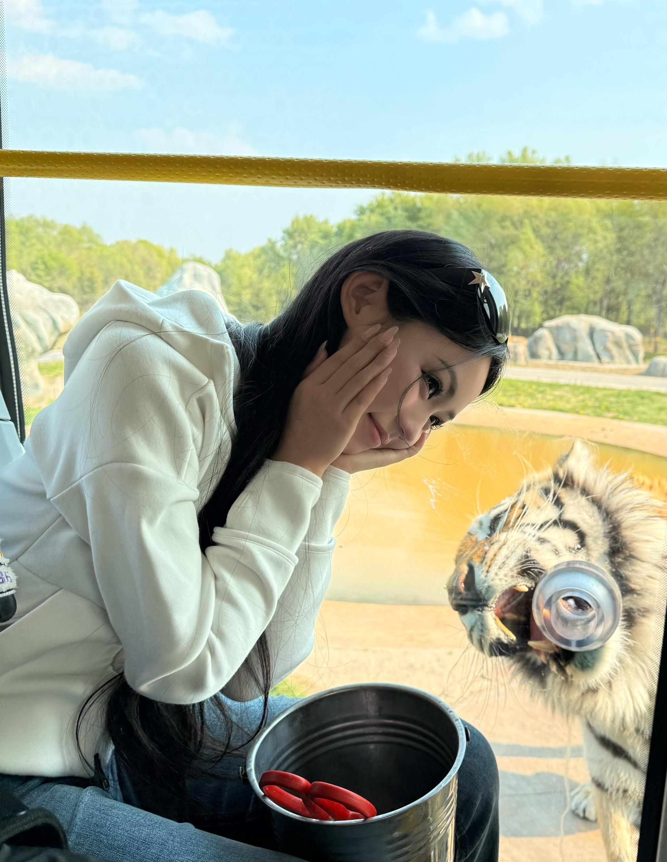 猜这是什么动物
