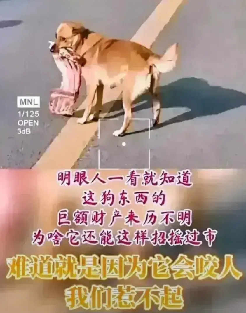 地球人都知道了！