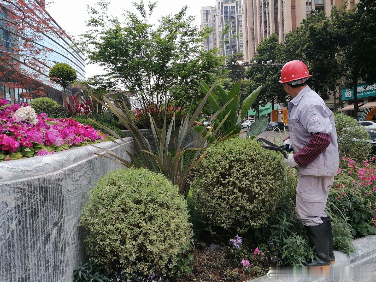 重庆大渡口双林社区，大渡口城管局和八桥镇政府，违法毁灭绿化隔离带，安装大型钢架结构，丑出了天际，严重