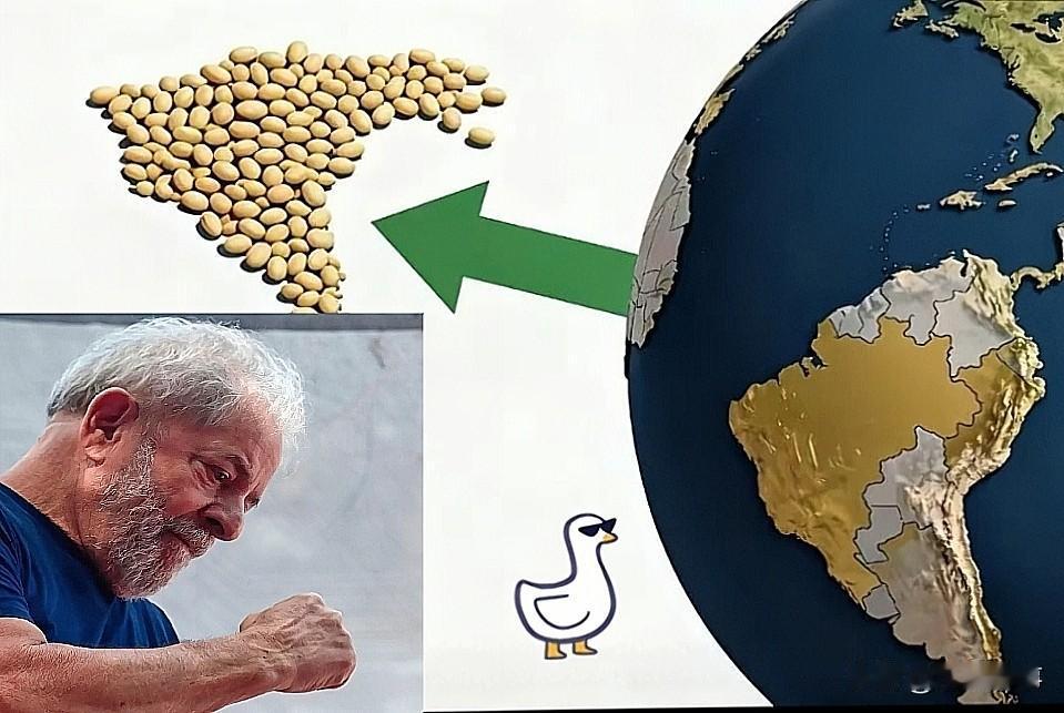 万万没想到呀巴西大豆商家是真飘了！这下傻眼了吧，拿捏我们不成反被拿捏了?