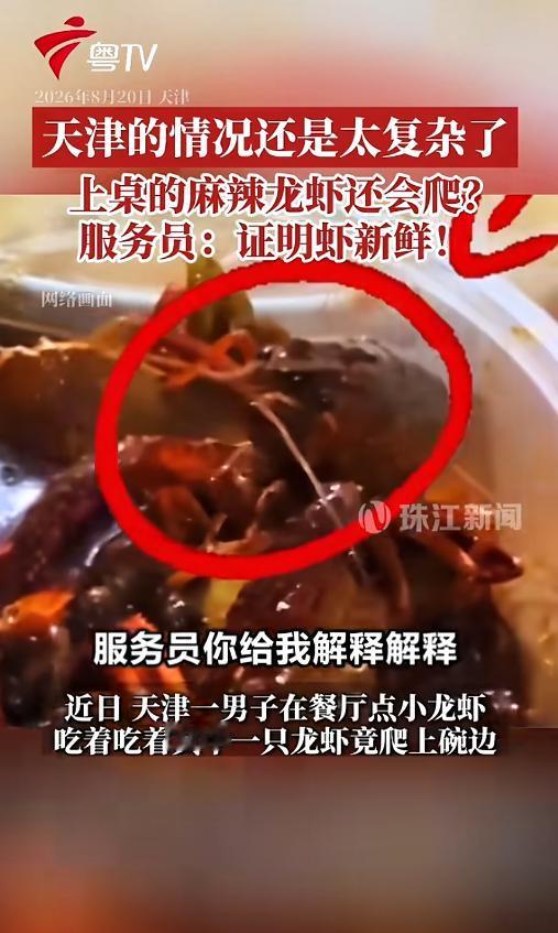 “新鲜过头了！”8月20日报道，天津，一男子在餐厅点了份小龙虾，结果吃着吃着竟发