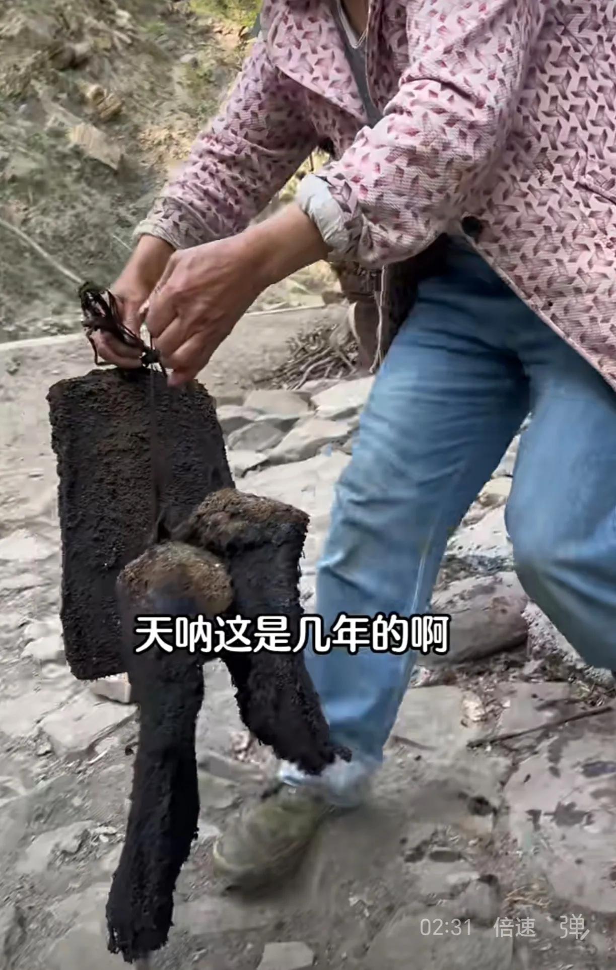 陈年薰肉，真的还能吃？上次看到有个视频30年的一头猪腊肉，卖40多万元！现在看到