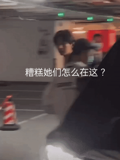 这也是一种合理猜测。不说fs，至少去年三月三扑，让没有余粮的平台审计他的剧很正常