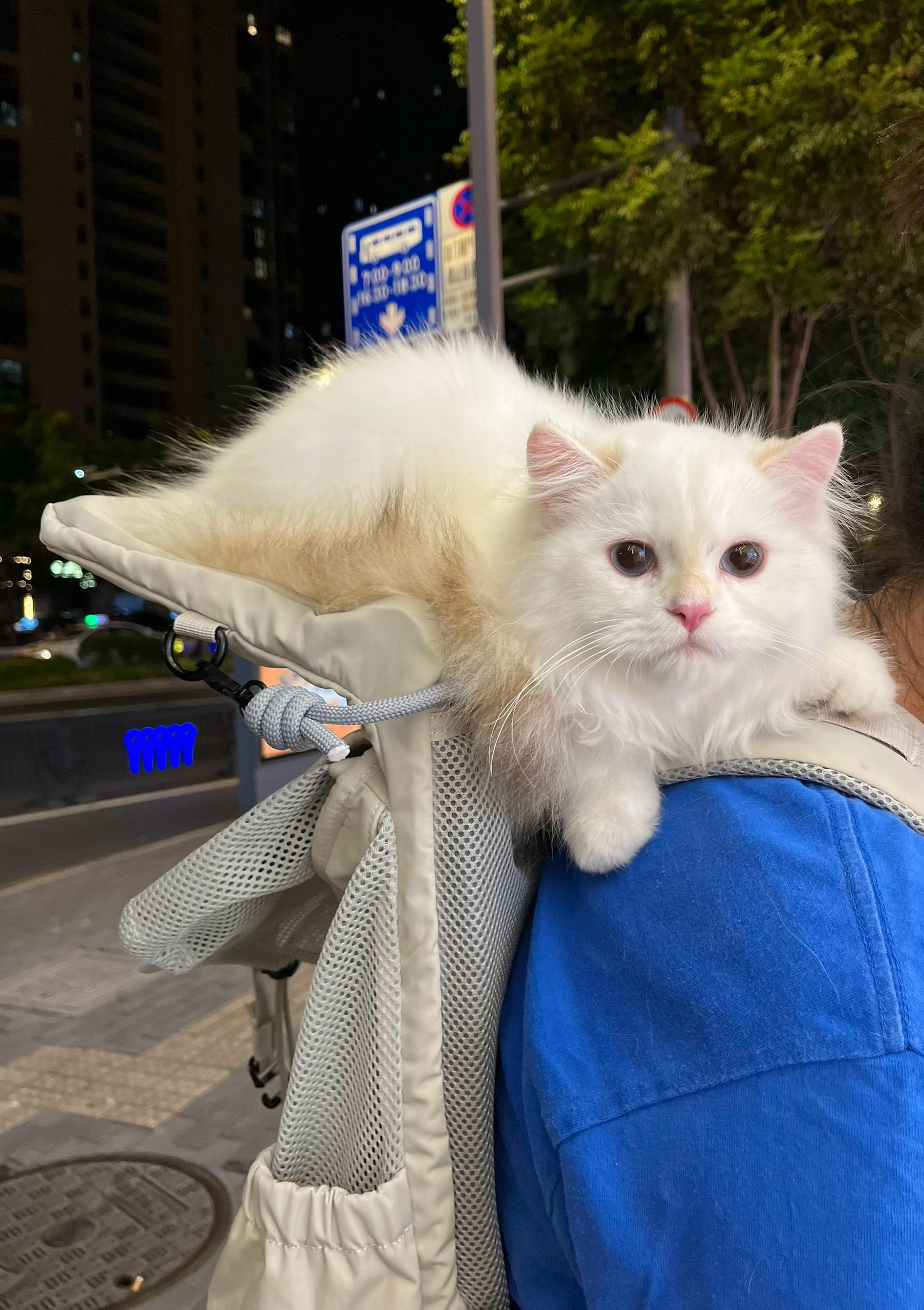 Hello,littlecutie[吐舌头眯眼睛笑]​​​
