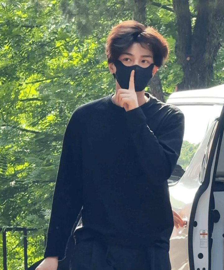 丁禹兮顺毛小狗溢出来的帅气感