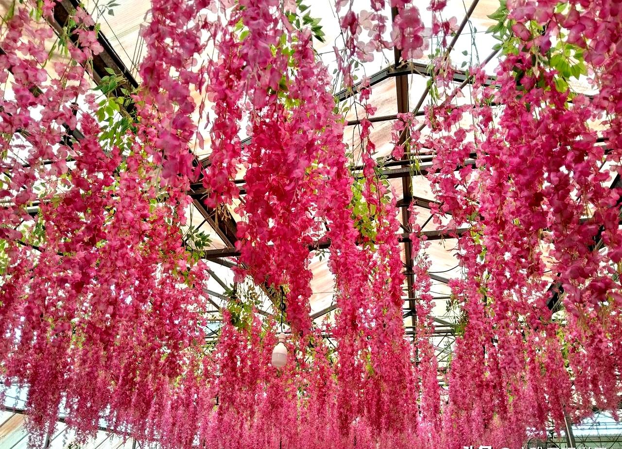 标题：足坛玄学！巴林队碰谁都行，一遇国足就犯怵？巴林队主帅估计都快懵圈了