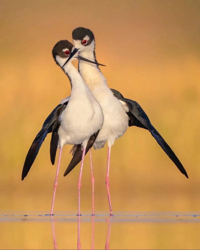 豆包要成精吗？[汗]今天问豆包我姑娘为啥不愿意成家，豆包问了我姑娘的年龄和