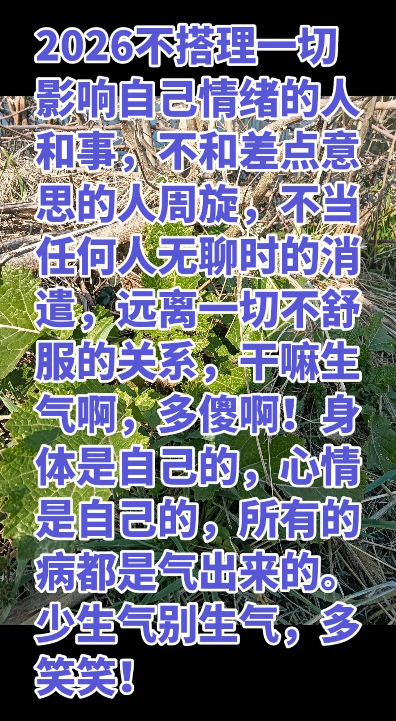 大自然的馈赠