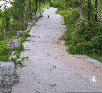 七大姑八大姨九大伯十小叔都叫回来了![大笑]