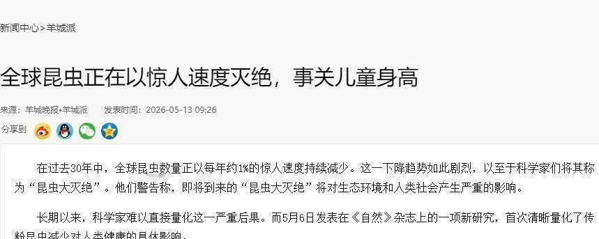 “虫子快没了！人类的好日子也快到头了！”5月13日大象新闻扯响的这声刺耳警钟可绝