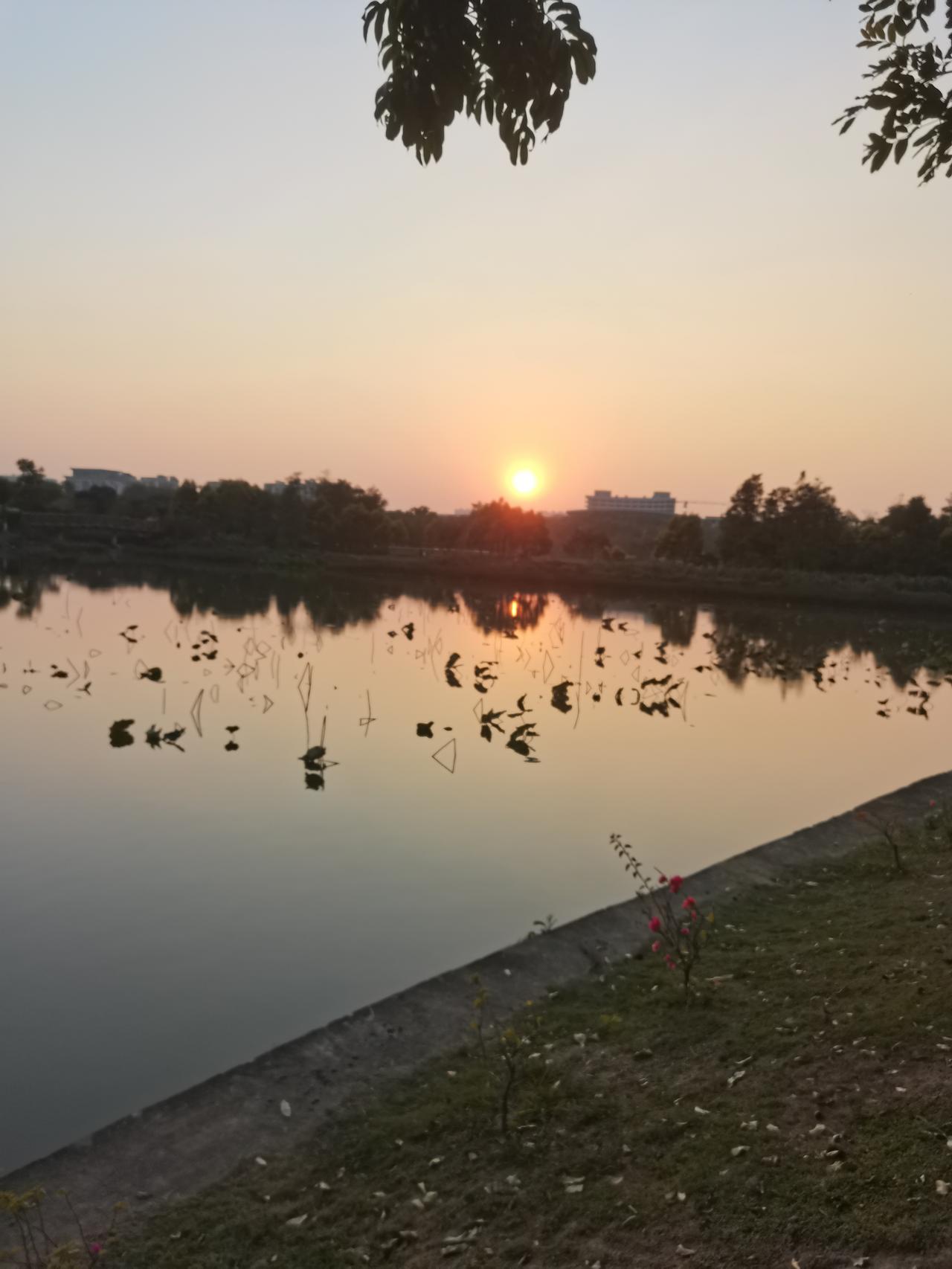大哥才是聪明人，现如今这个社会，生命才是最宝贵的，只有珍惜自己的生命，才能等到光