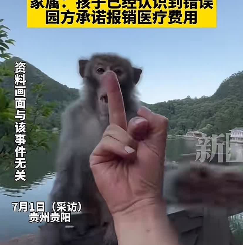 “五个猴子骑在他肩上揍他”，这男孩也太倒霉了，本来想高高兴兴的去黔灵山看熊猫，结