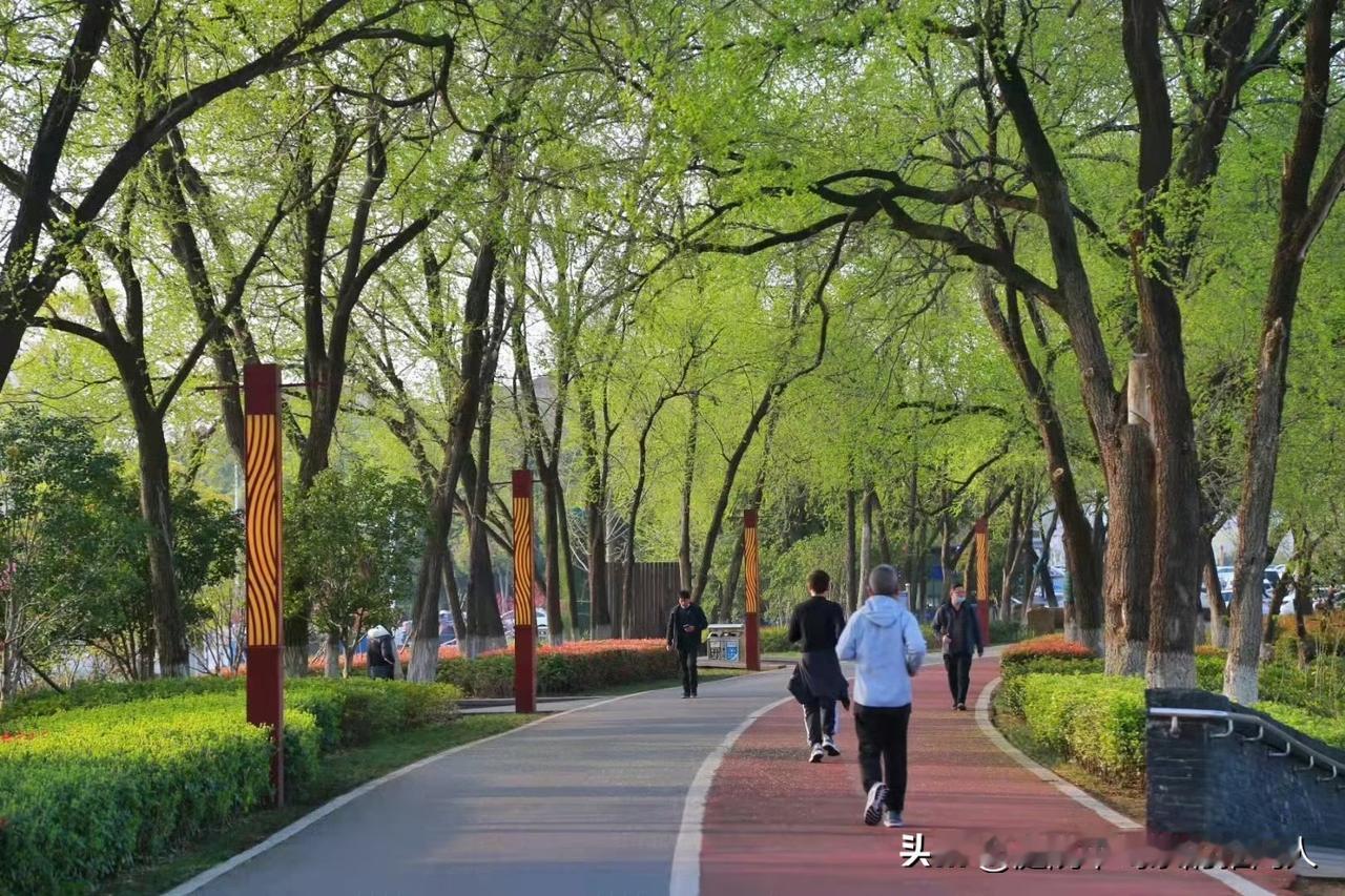 我算是服了我堂姐。以前总觉得堂姐浪费人生，财政局退休后每月9000退休金，不出