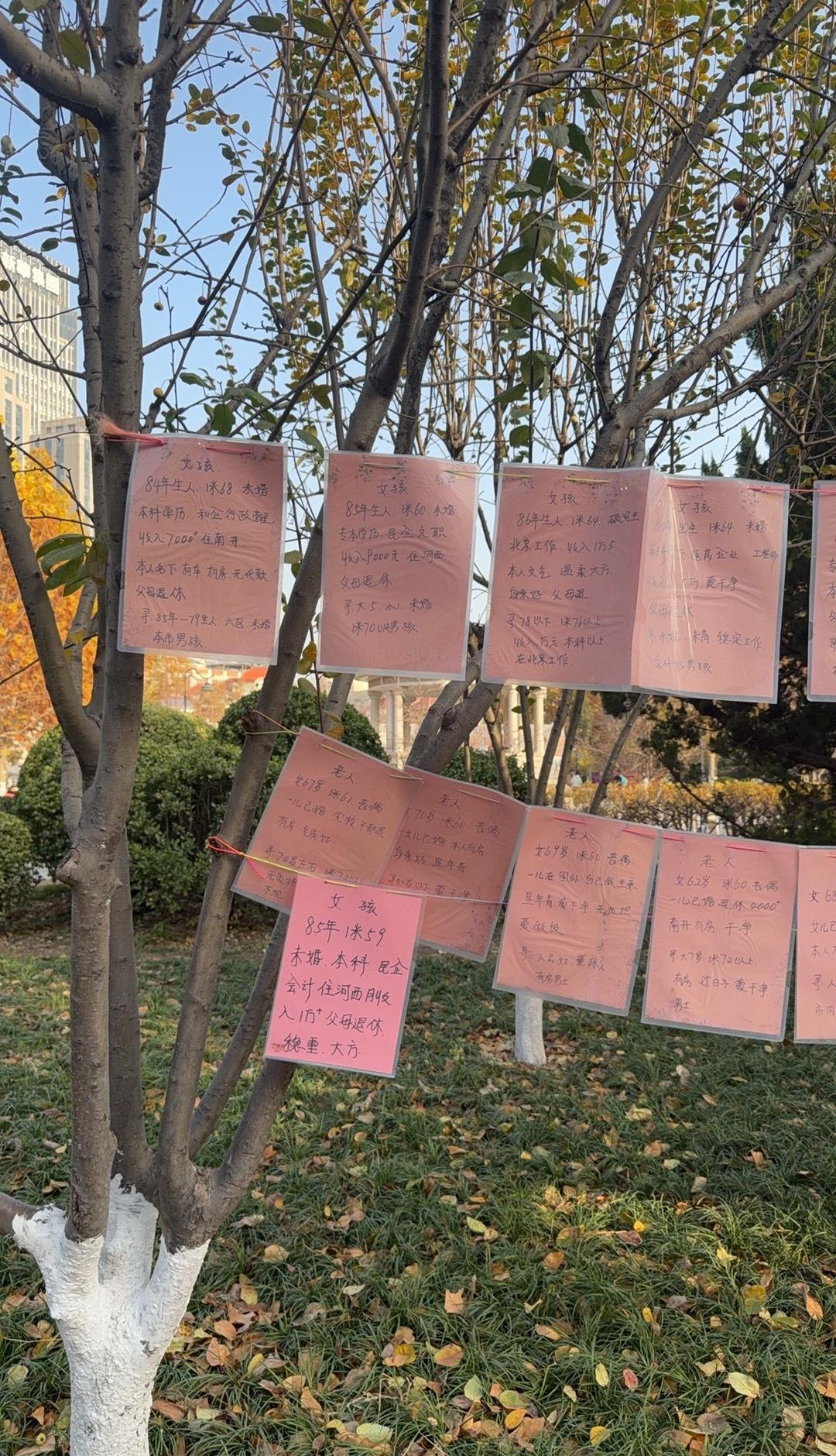 今天算找到地方了[笑着哭][笑着哭][笑着哭]掩盖不住的喜悦呀[笑着哭][笑着哭][笑着哭]