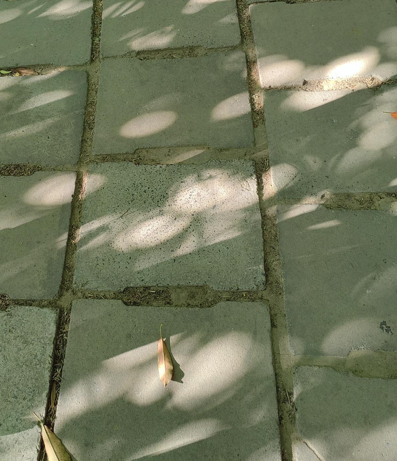 过去在农村，弟兄们多的家庭常有一种现象：弟弟们指责哥嫂对父母不好，甚至给嫂子动手