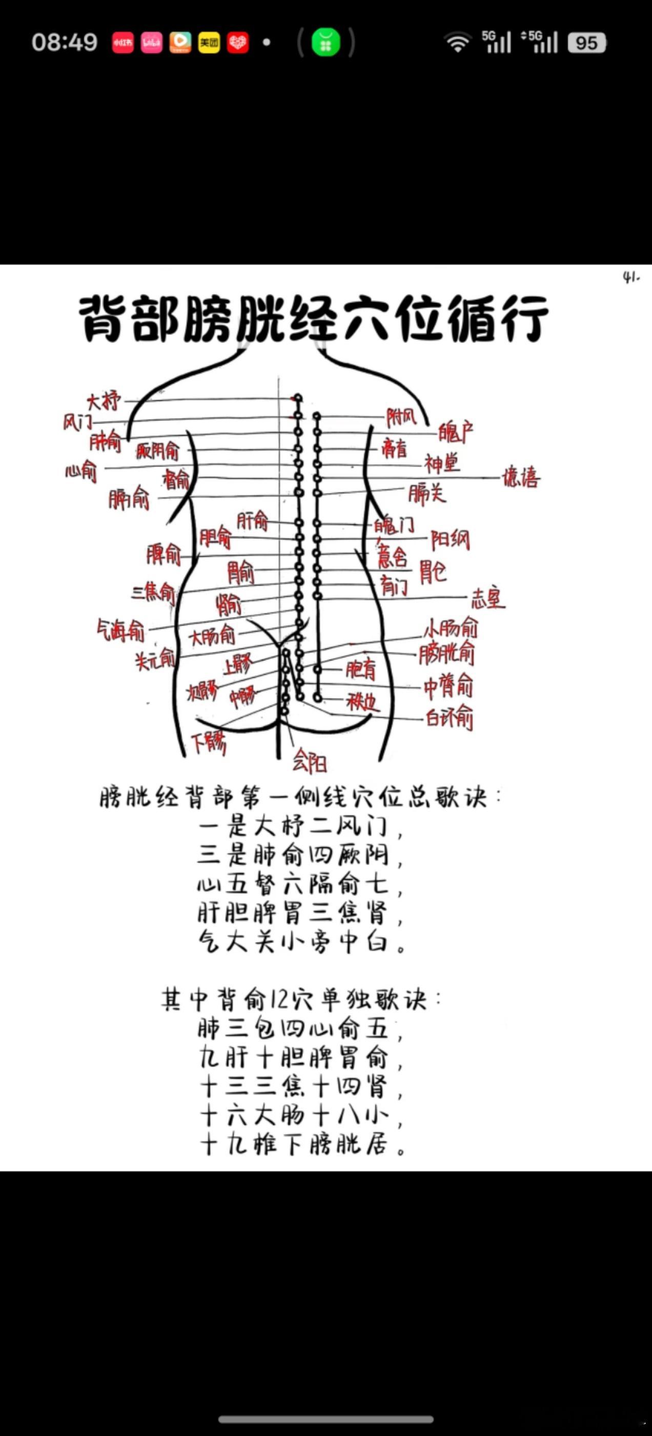 十二经络气血作用背诵口诀气血为根经络路，周流十二循环渡。气主温煦推运化，血司濡