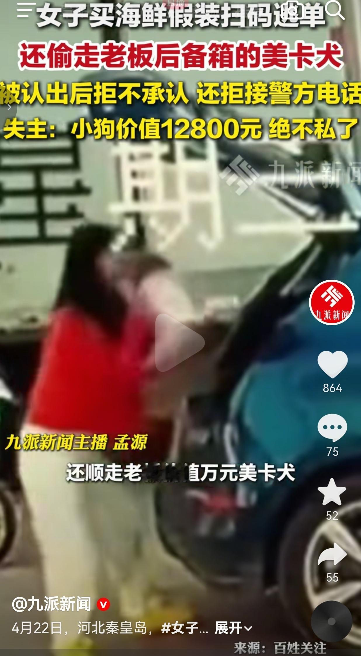 买海鲜逃单就算了，还顺手偷走老板价值一万多的小狗？这操作我是真开眼了河北秦