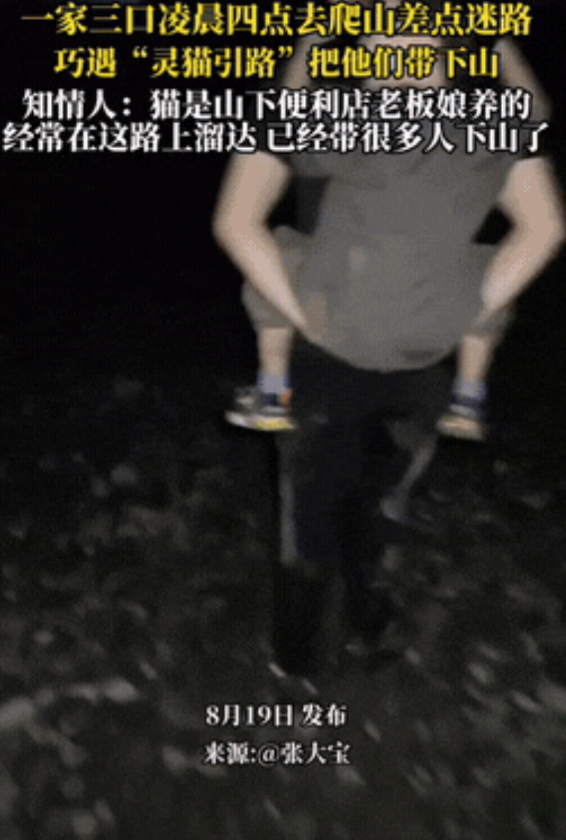 凌晨四点一家三口去爬山，在山上迷路了，这时一家人有点慌，正忐忑时，遇到了一只小猫