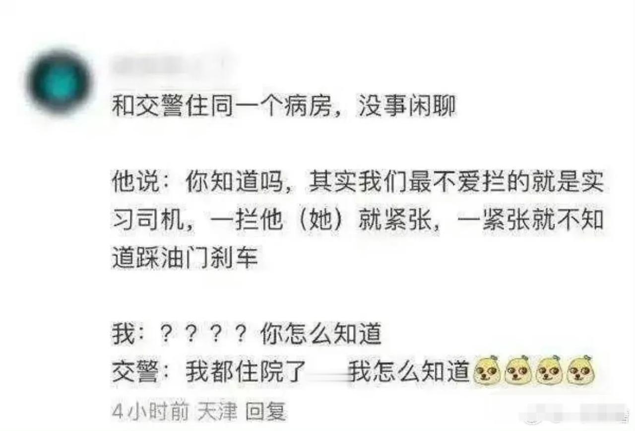 交警叔叔说了，他们最不愿意拦的就是实习驾驶员！