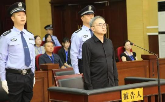 深耕反腐29年，受贿2.61亿被判死缓！南京市人大常委会原党组书记、主任龙翔一审