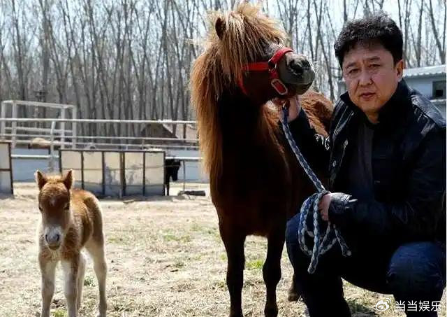 明星们开一场演唱会到底能揣进兜里多少钱？这层窗户纸，愣是被李荣浩给捅破了。没过几