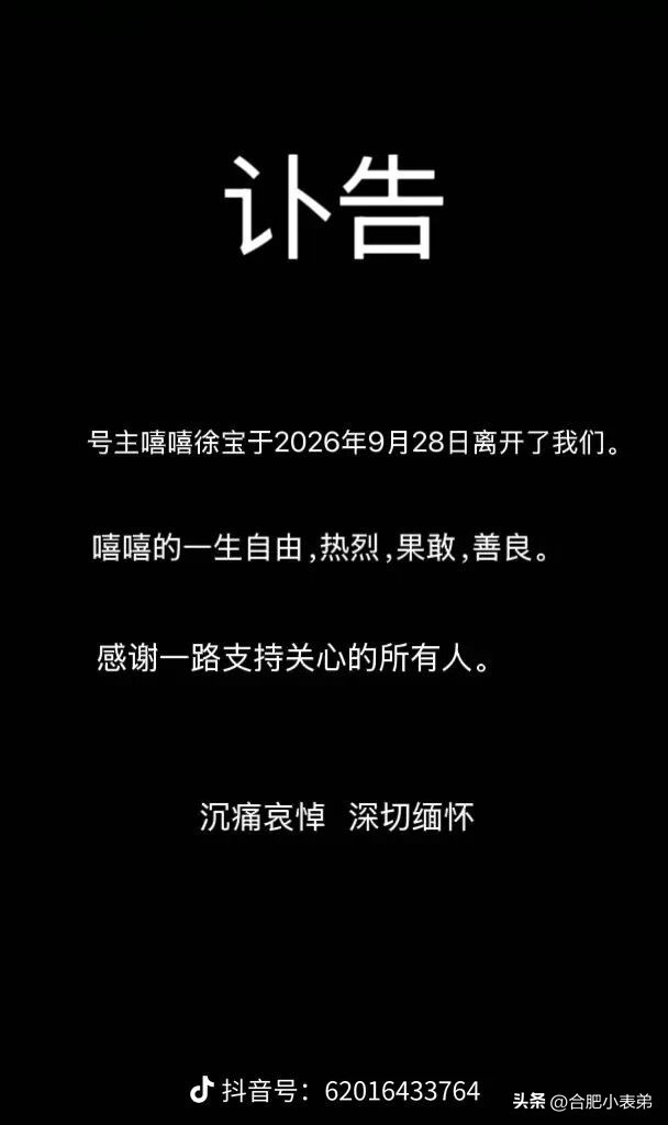 25岁博主“嘻嘻徐宝”不幸离世，生前患有胃癌。她曾分享自己长期熬夜、不爱喝水，每天两杯咖啡的生活习惯