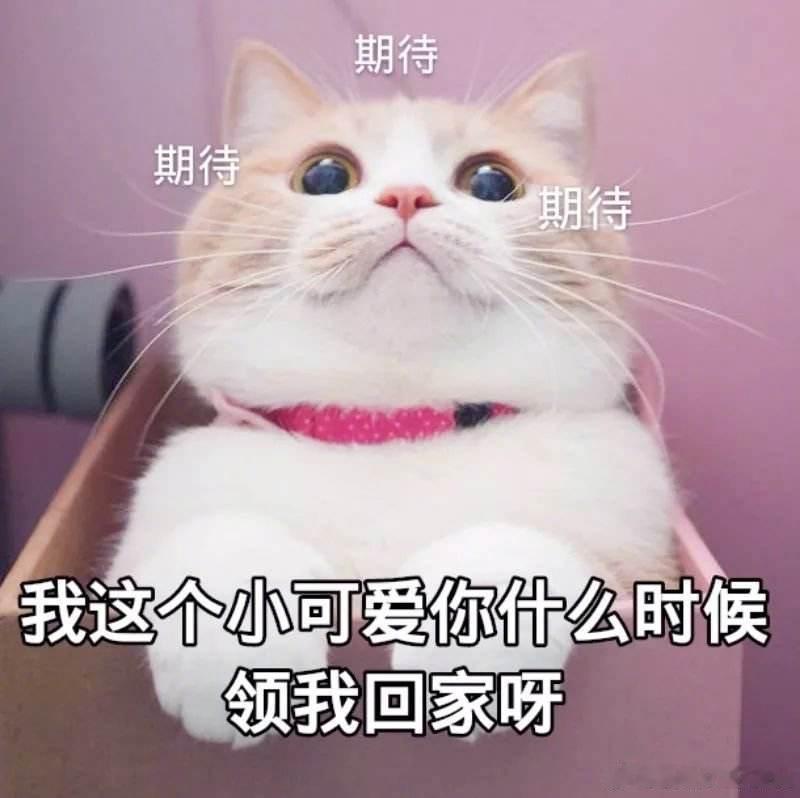 吵架后，12星座谁会主动破冰？愿意先递台阶：白羊、狮子、天秤等对方察觉，不会先说