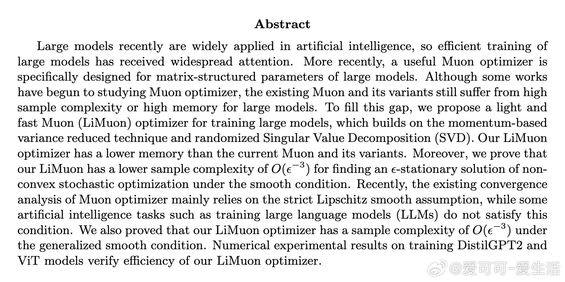 《LiMuon:LightandFastMuonOptimiz
