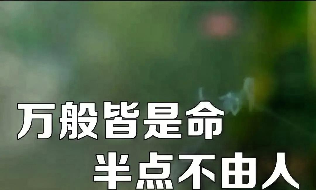 47岁女子五年没上班，天天给瘫痪老爸翻身擦身喂饭，头发全白。瘫痪的父亲卧病在