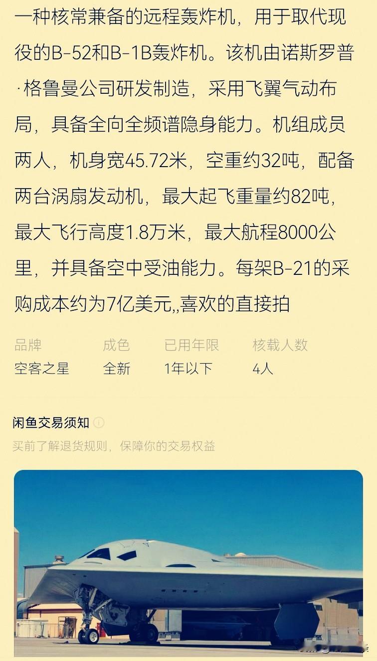 看到闲鱼网上有卖战略轰炸机的，不知道是真是假。即便是真的，我也不会买。一是买