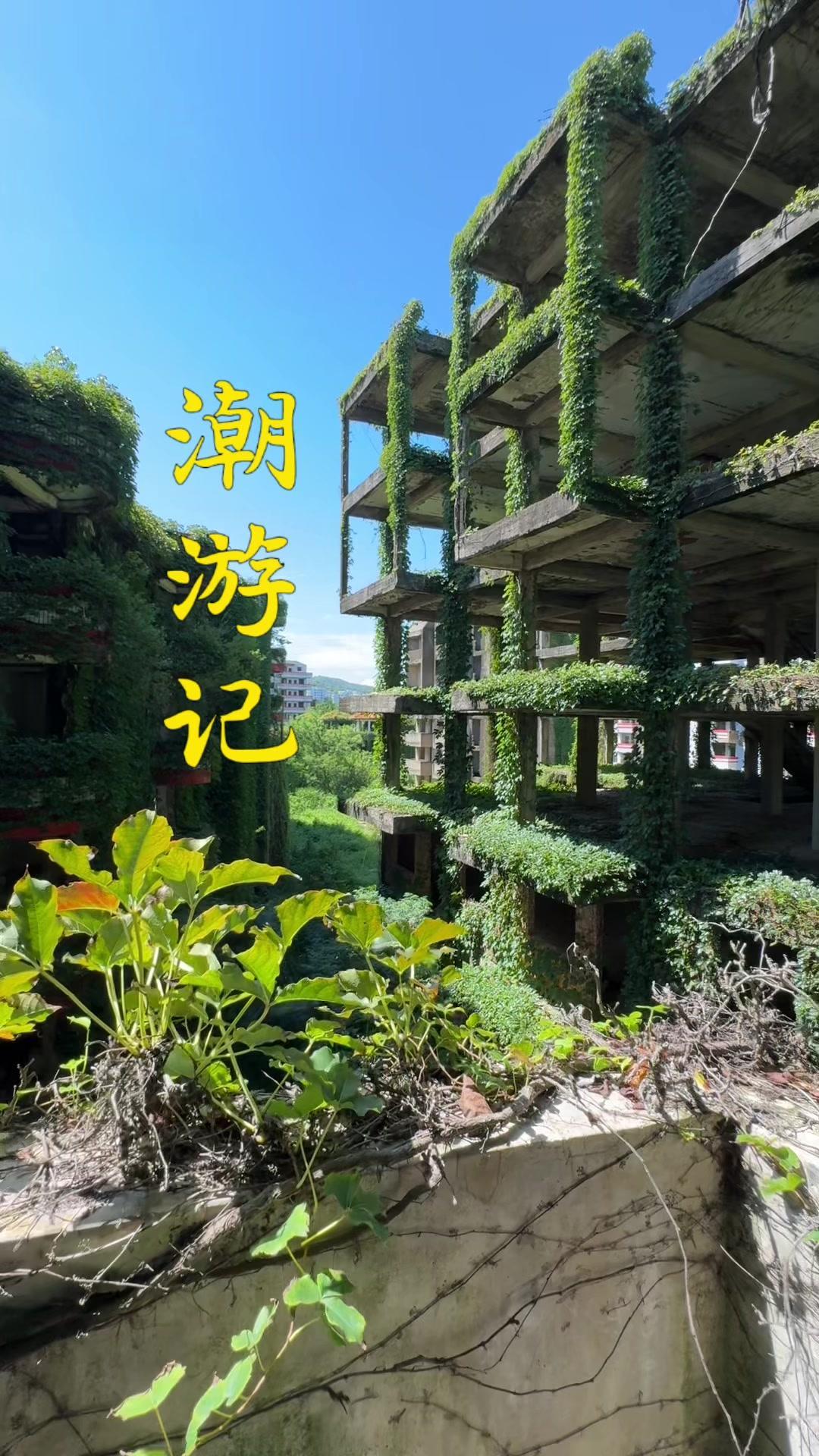 走在废弃的街道上，高楼长出绿植，铁轨爬满藤蔓，曾经喧嚣的城市变得寂静而神秘。阳
