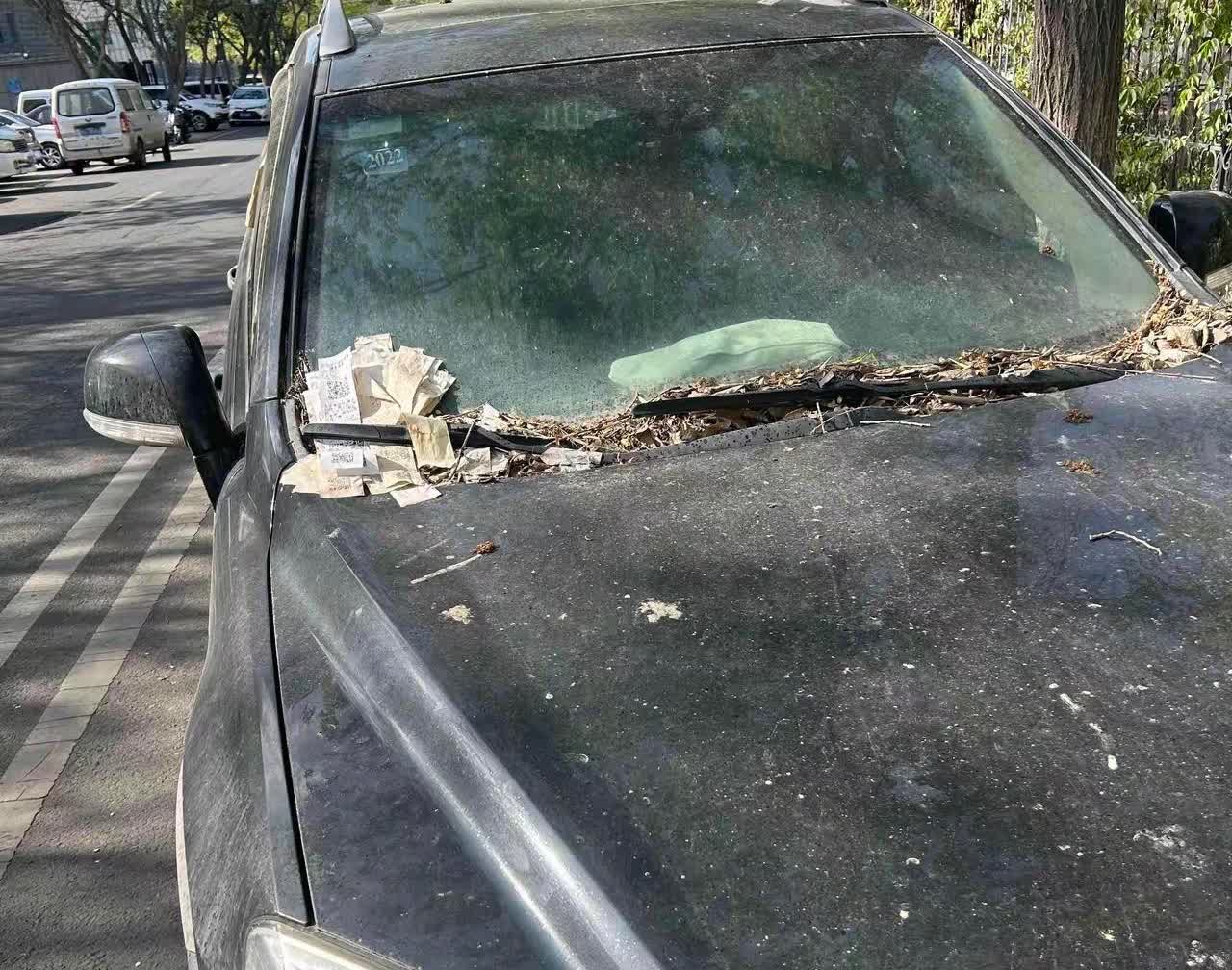 这种车主一般都去哪了？