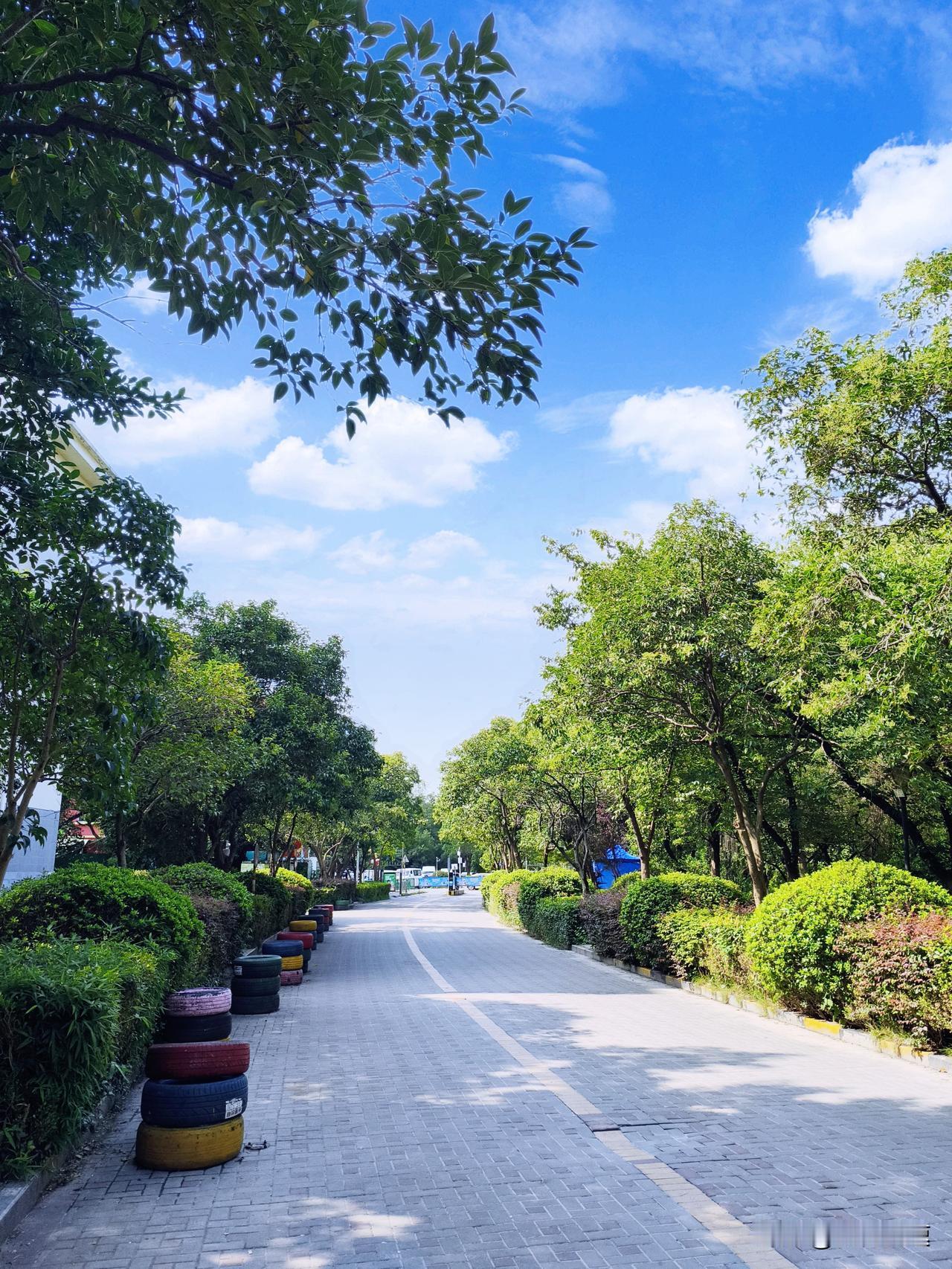 其实三伏天用空调有门道。温度设26℃-28℃，白天25℃-26℃，晚上2