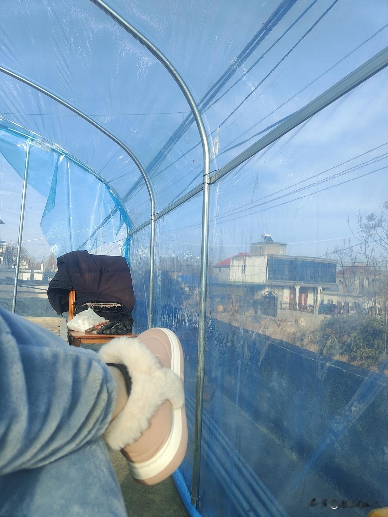 你们那里过冬也和我一样买暖棚吗？一到冬天风就大，买个暖棚躲躲冷[呲牙笑]这