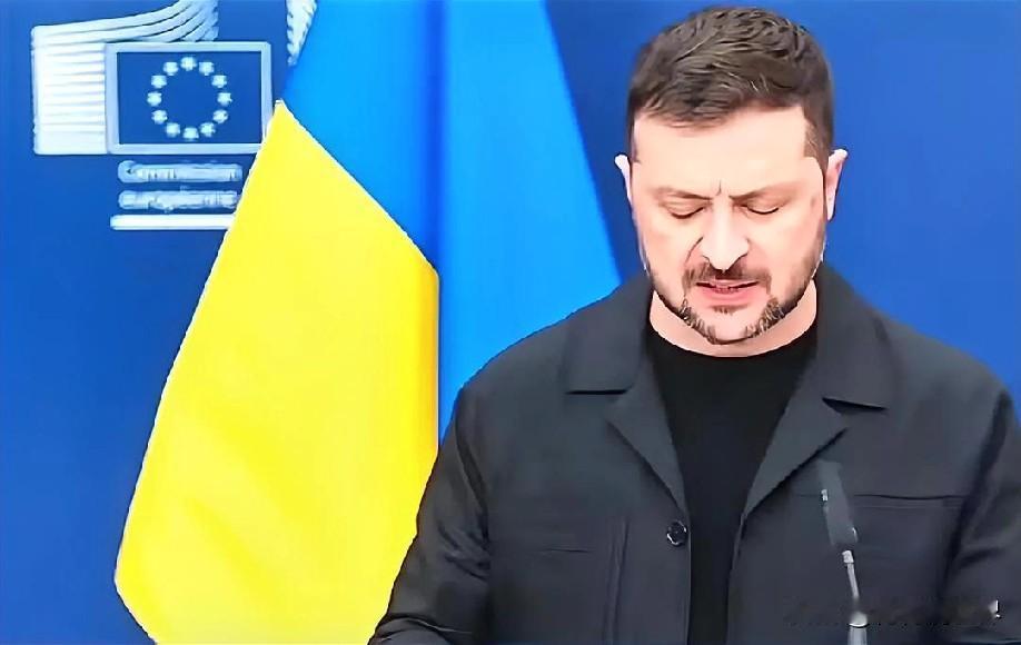 12月9日中午的最新消息速报，全都不容错过，第五条：泽连斯基坚守领土主权底线：乌