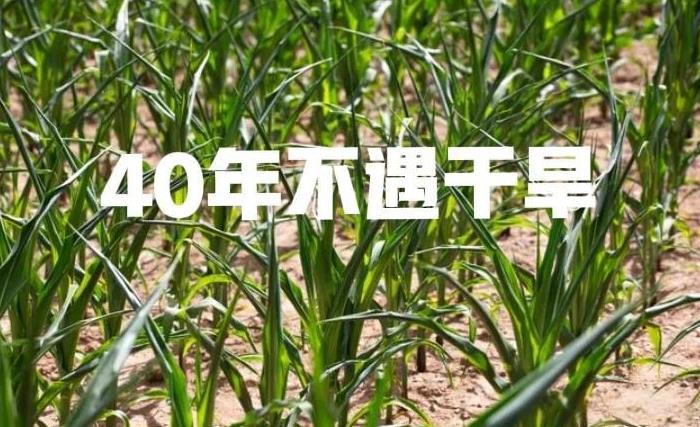 40年不遇干旱出现了，今年还要热多久？早看早防备相信大家已经知道了我国有些地区