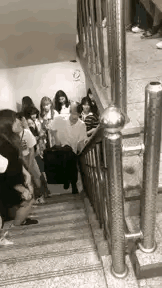 不是都说狼多肉少嘛，现在这情况该怎么说